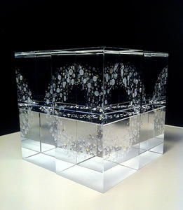 Nancy Sutcliffe „Same DNA as stardust“, 2014 m. Nancy Sutcliffe „Same DNA as stardust“, 2014 m.