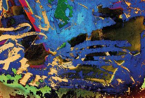 I. Mindiuz. Iš serijos „Nematomas grožis“. 2016. Fotografija/mišri technika/dirbtinis šilkas I. Mindiuz. Iš serijos „Nematomas grožis“. 2016. Fotografija/mišri technika/dirbtinis šilkas