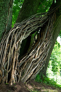 Work by Jordi Pasqual and Maria Jesus (Spain) Work by Jordi Pasqual and Maria Jesus (Spain)