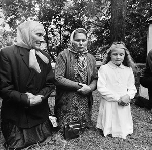 Pavandenė. 1976 Pavandenė. 1976