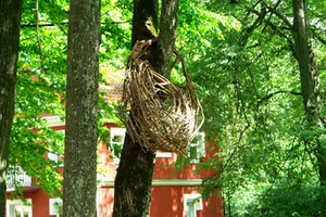 Work by Taiwanese authors Chen Mei-Pei and Vivien-Chang (fragment) Work by Taiwanese authors Chen Mei-Pei and Vivien-Chang (fragment)