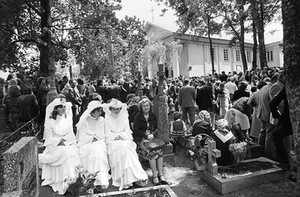 Pivašiūnai. 1982 Pivašiūnai. 1982