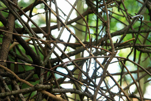 Žemės meno kūrėjai dirba tik lauke, savo kūriniams naudodami čia pat randamas medžiagas ir tik natūralias tvirtinimo priemones Žemės meno kūrėjai dirba tik lauke, savo kūriniams naudodami čia pat randamas medžiagas ir tik natūralias tvirtinimo priemones