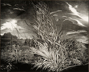 B. Stančikaitė. Against the wind. 1980, two-colored lithograph, 56,8 x 69,8. Modern meno centro archyvo nuotr. B. Stančikaitė. Against the wind. 1980, two-colored lithograph, 56,8 x 69,8. Modern meno centro archyvo nuotr.