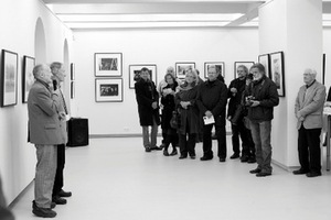 R.Bartusevičiūtės nuotr. R.Bartusevičiūtės nuotr.