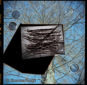 Rimantas Plungė. From the series Reverse Rimantas Plungė. From the series Reverse