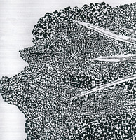 D. Maleckienės darbas iš serijos „Fotografikos abstrakcijos“. 2010–2015, 50x40 cm D. Maleckienės darbas iš serijos „Fotografikos abstrakcijos“. 2010–2015, 50x40 cm