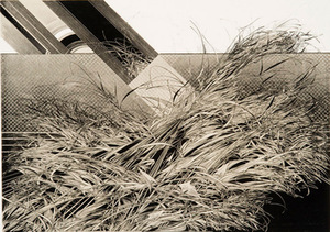 B. Stančikaitė. Glaring light I. 1982, two-colored lithograph, 47.5 x 66.5. Modern Art Center archive. B. Stančikaitė. Glaring light I. 1982, two-colored lithograph, 47.5 x 66.5. Modern Art Center archive.