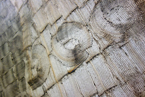 Ryto Jurgelio tapybos ciklas „Balta upė“