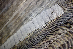 Ryto Jurgelio tapybos ciklas „Balta upė“