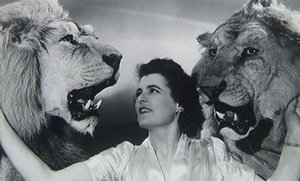 Kadras iš filmo „Viskas dėl šou“