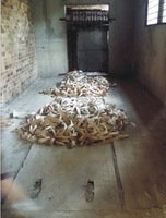 SINCHRONIZACIJA, 2003, performansas