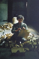 SINCHRONIZACIJA, 2003, performansas