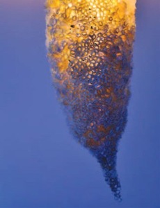 Gaila Akelienė „Šviestuvas“ Gaila Akelienė „Šviestuvas“