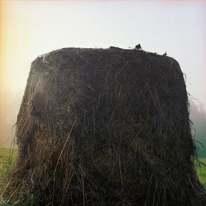 Vika Eksta's photograph Vika Eksta's photograph