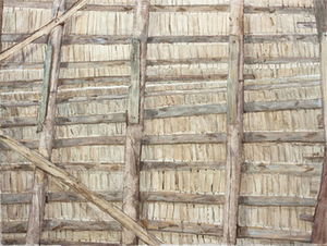 P.Lincevičius. "Roof“, 2014