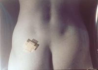 TEKSTILĖ IR AŠ III, 2001, 58 × 76, siuvinėjimas, fotografija, medvilnės siūlai, plastikas.