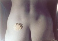 TEKSTILĖ IR AŠ III, 2001, 58 × 76, siuvinėjimas, fotografija, medvilnės siūlai, plastikas.