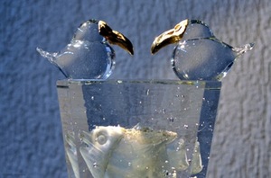 Valmantas Gutauskas "Paukščiai ir jūra"