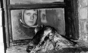 R.Vikšraitis. Laments of a Steading. 2002. Photo from guardian.co.uk R.Vikšraitis. Laments of a Steading. 2002. Photo from guardian.co.uk