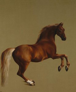 G. Stubbs. „Whistlejacket“, 1762 m., Nacionalinė galerija, Londonas, Didžioji Britanija