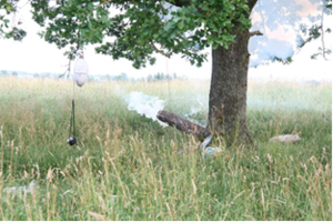 Laurynas Leonaitis. „Patranka“.