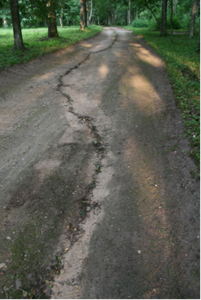 Židrija Janušaitė. “The Road” Židrija Janušaitė. “The Road”