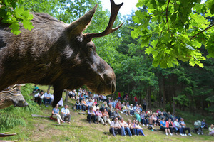 R. Požerskis. „Žemaitija – Nevada 2016“, fragmentas R. Požerskis. „Žemaitija – Nevada 2016“, fragmentas